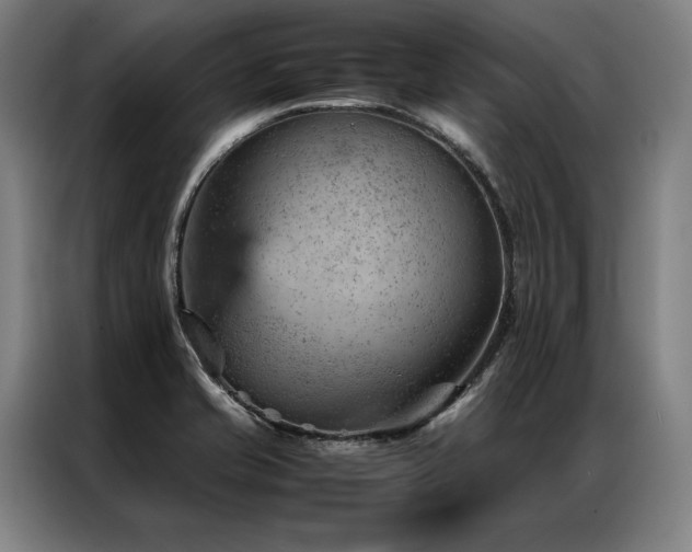 X0000087311421200704201202