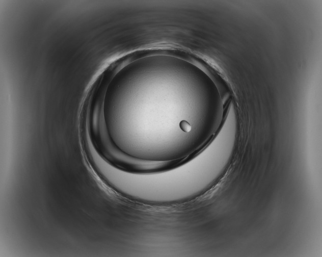 X0000087311422200704201202