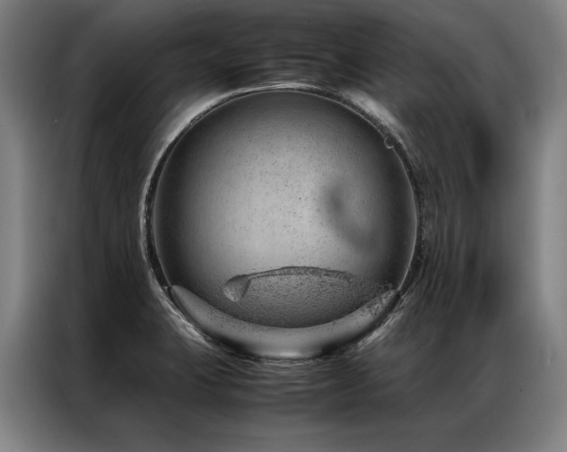X0000087311423200704201202