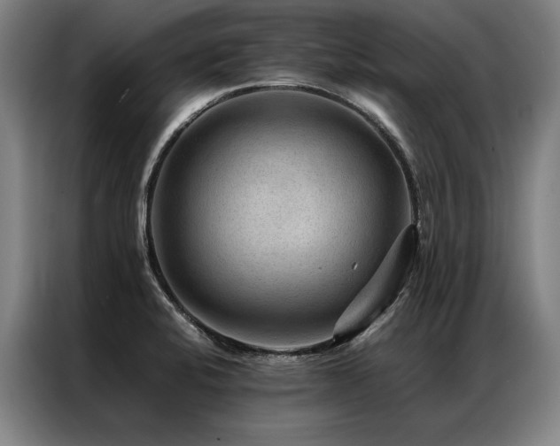 X0000087311424200704201202