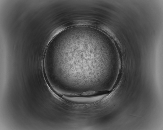 X0000087311425200704201202