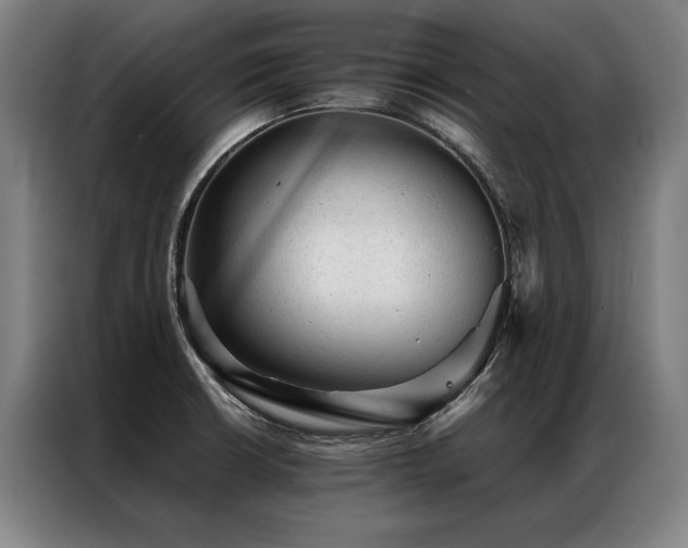 X0000087311426200704201202