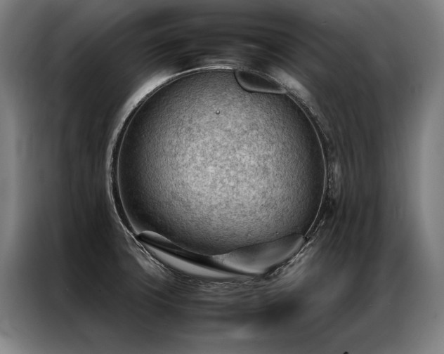 X0000087311427200704201202