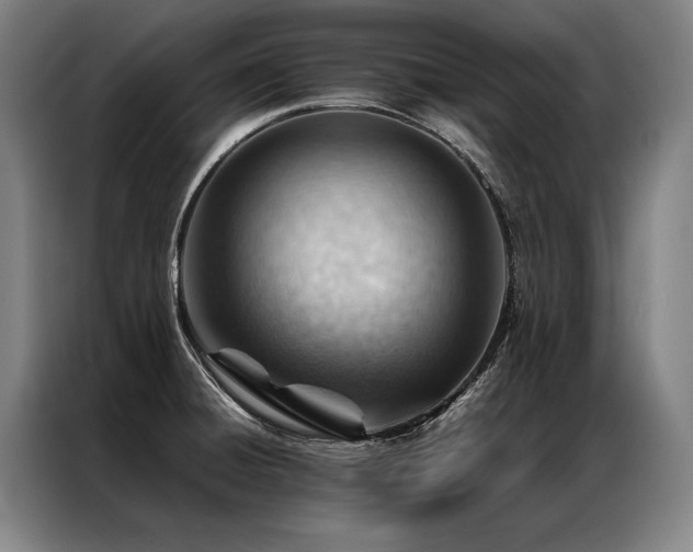 X0000087311428200704201202