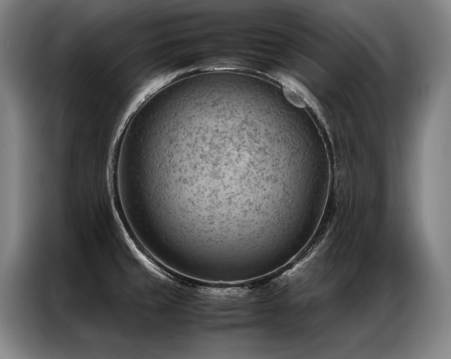 X0000087311429200704201202