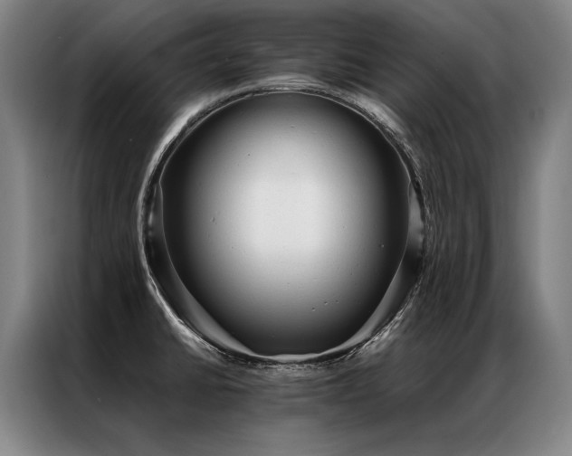 X0000087311430200704201202