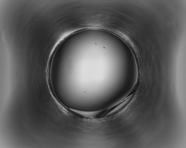 X0000087311432200704201202