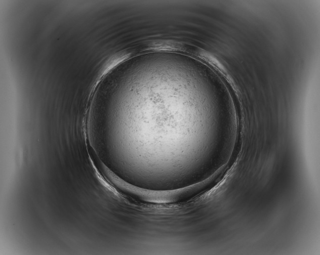X0000087311433200704201202