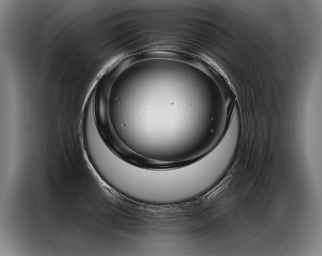 X0000087311434200704201202