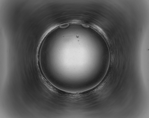 X0000087311435200704201202