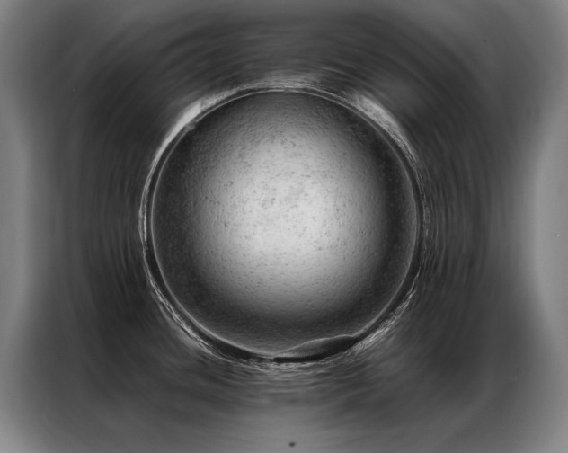 X0000087311436200704201202