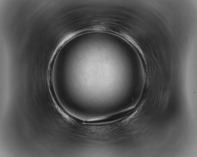 X0000087311437200704201202