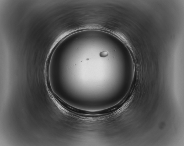 X0000087311438200704201202