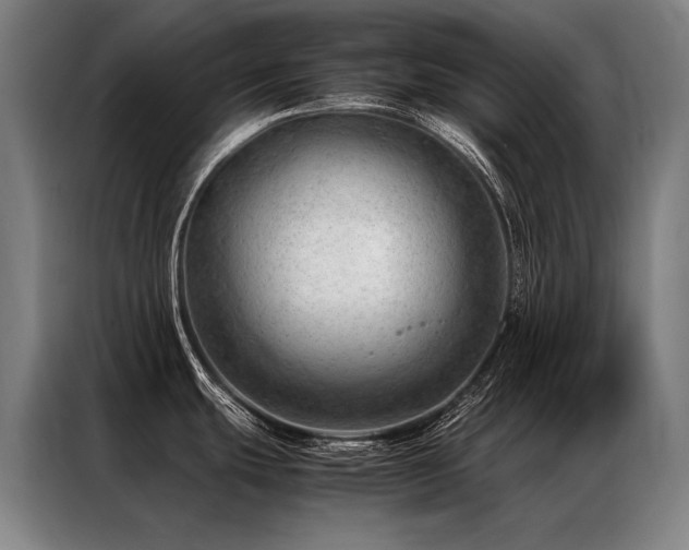 X0000087311439200704201202