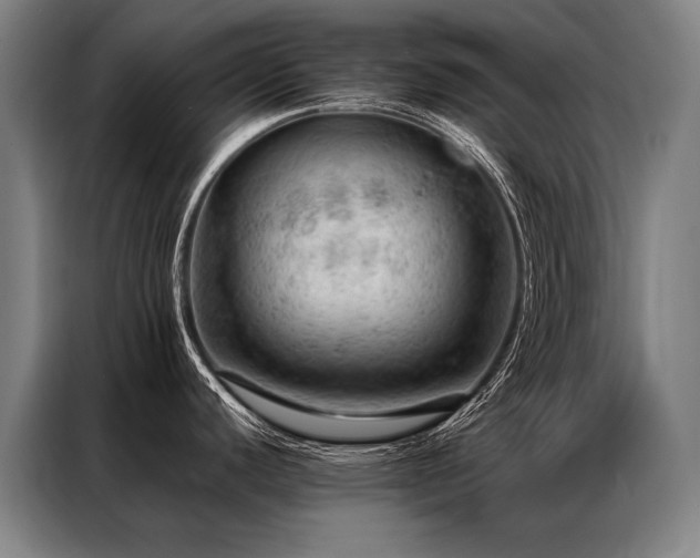 X0000087311440200704201202