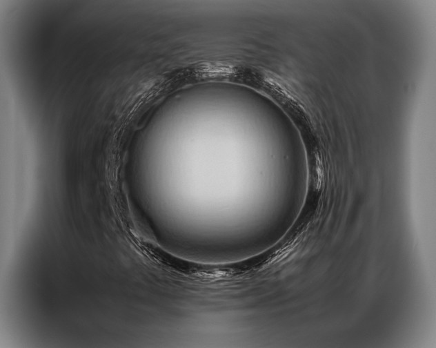 X0000087311441200704201202