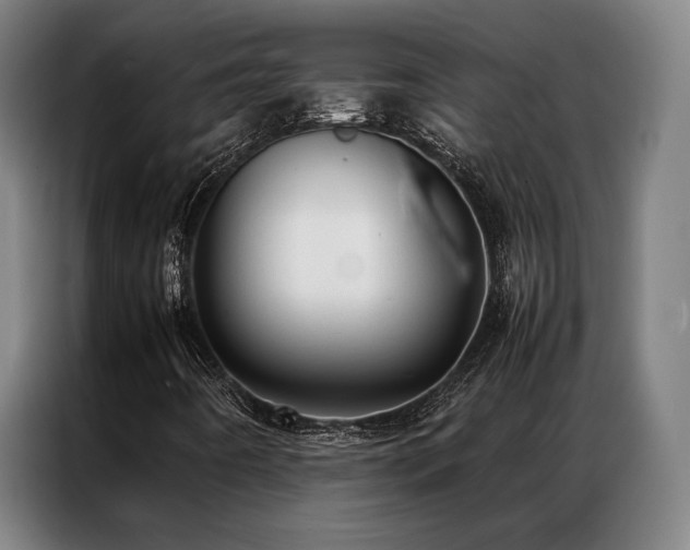 X0000087311442200704201202
