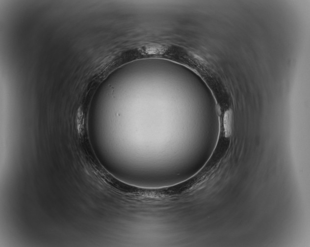 X0000087311443200704201202