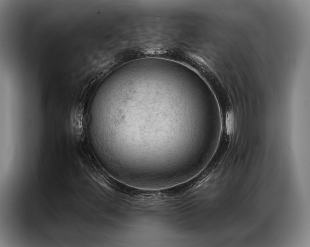 X0000087311444200704201202