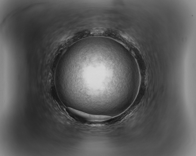 X0000087311445200704201202