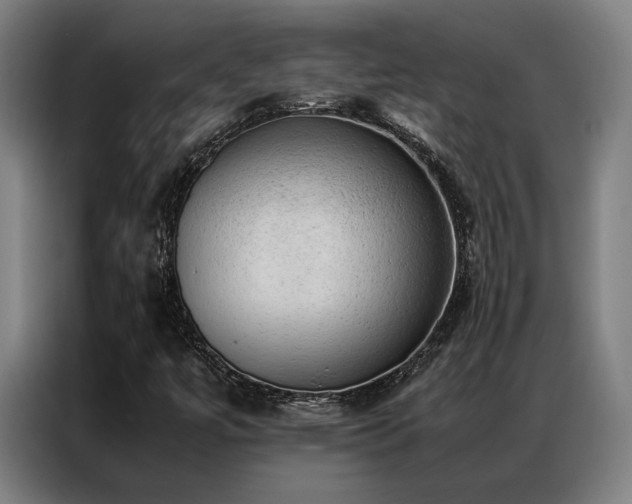 X0000087311447200704201201