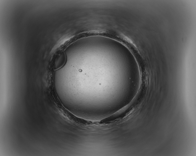 X0000087311448200704201201