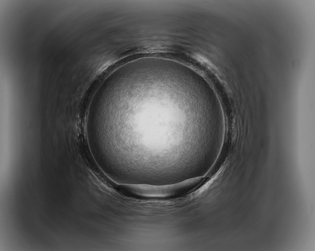 X0000087311449200704201201