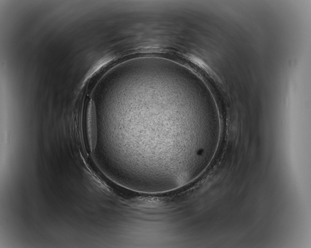 X0000087311450200704201201
