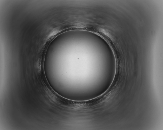 X0000087311451200704201201