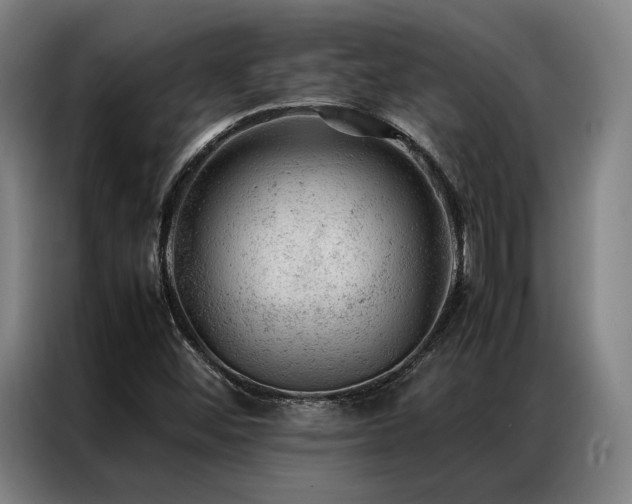 X0000087311452200704201201
