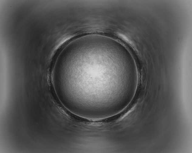X0000087311453200704201201