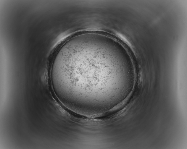 X0000087311456200704201201