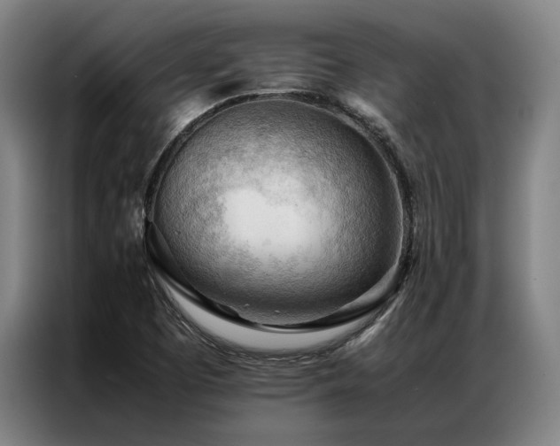 X0000087311457200704201201