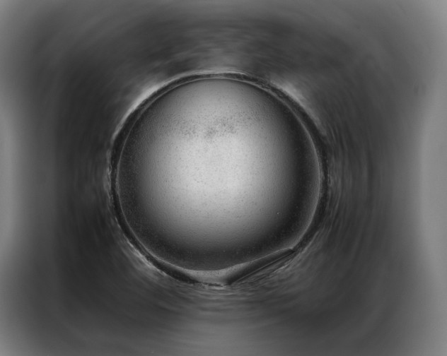 X0000087311460200704201201