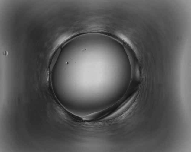 X0000087311461200704201201