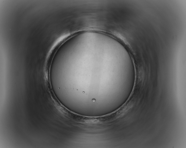 X0000087311462200704201201
