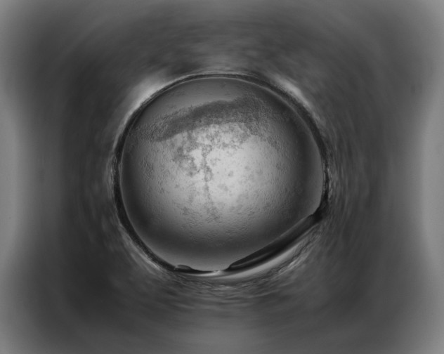 X0000087311463200704201201