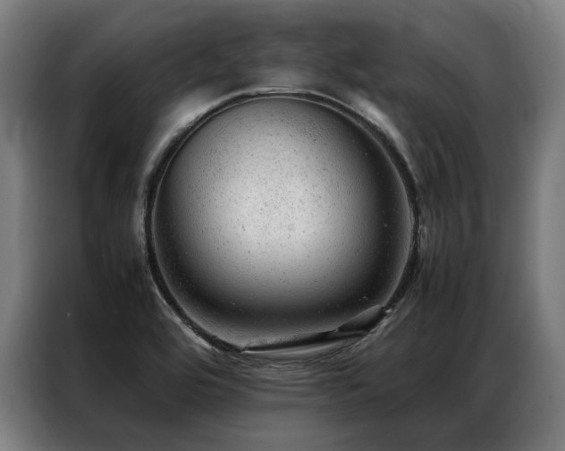 X0000087311464200704201201