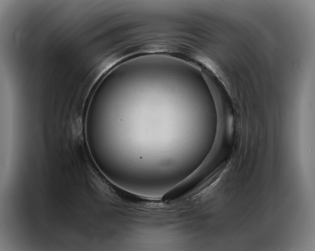 X0000087311465200704201201