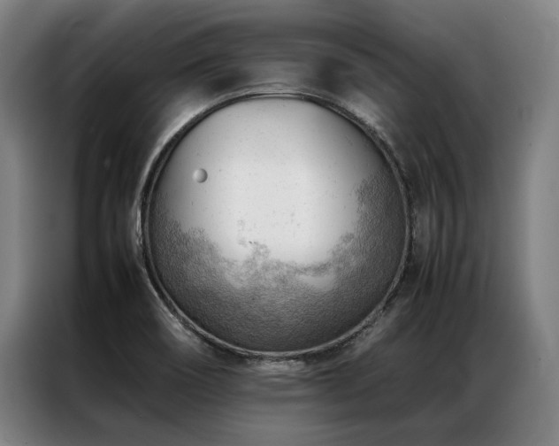 X0000087311466200704201201