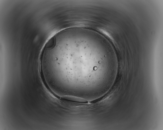 X0000087311467200704201201