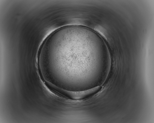 X0000087311468200704201201