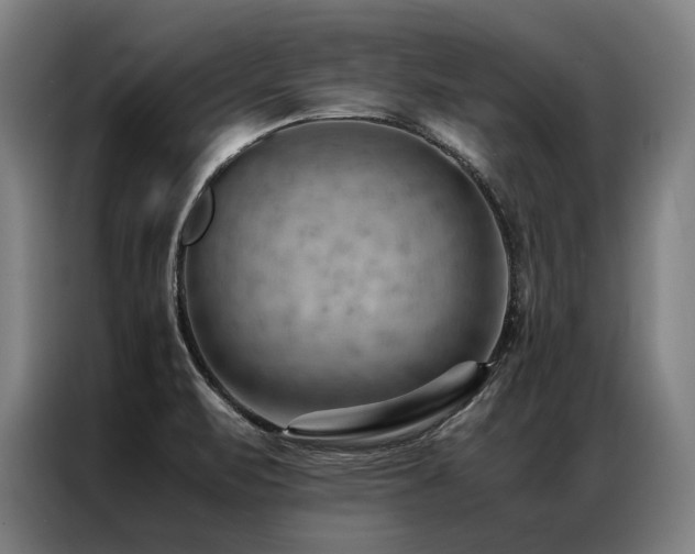 X0000087311471200704201201