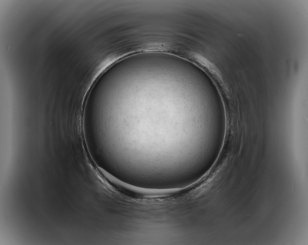 X0000087311473200704201201