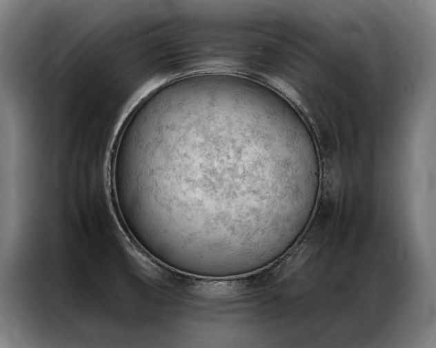 X0000087311474200704201201