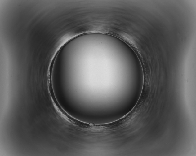 X0000087311479200704201201