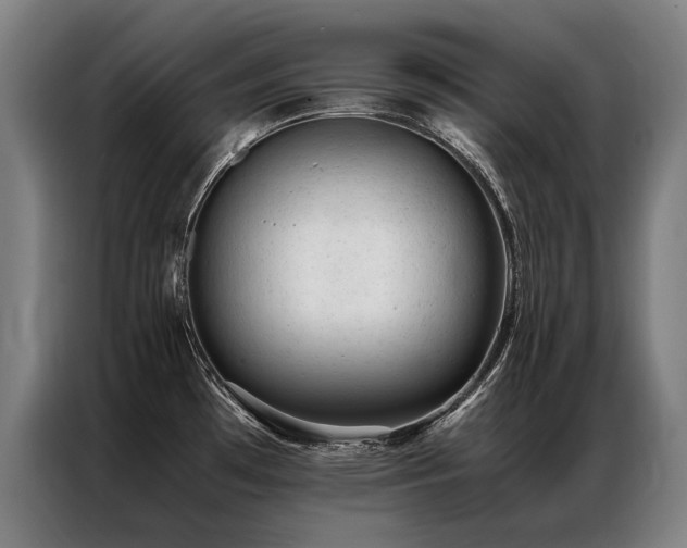 X0000087311481200704201201