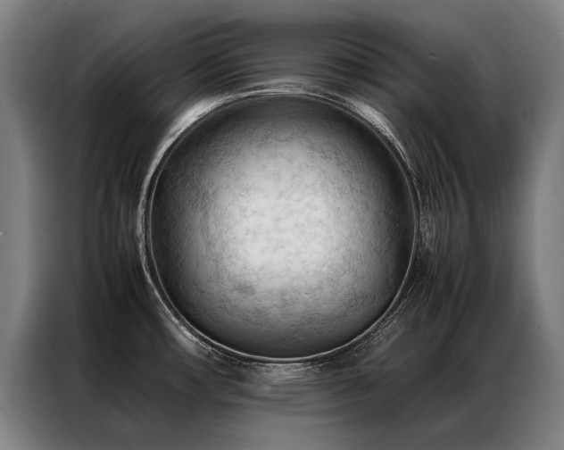 X0000087311482200704201201