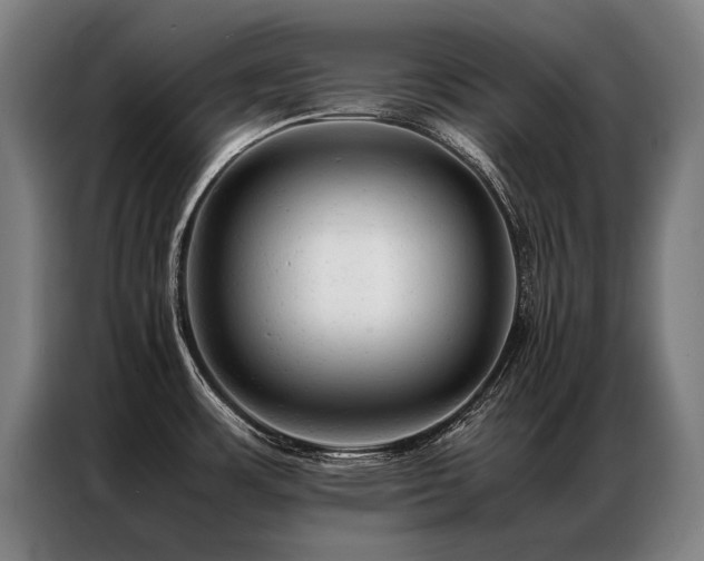 X0000087311483200704201201