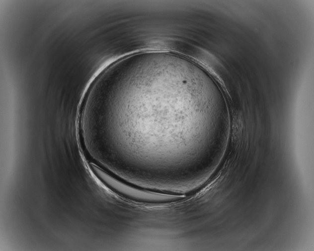 X0000087311484200704201201